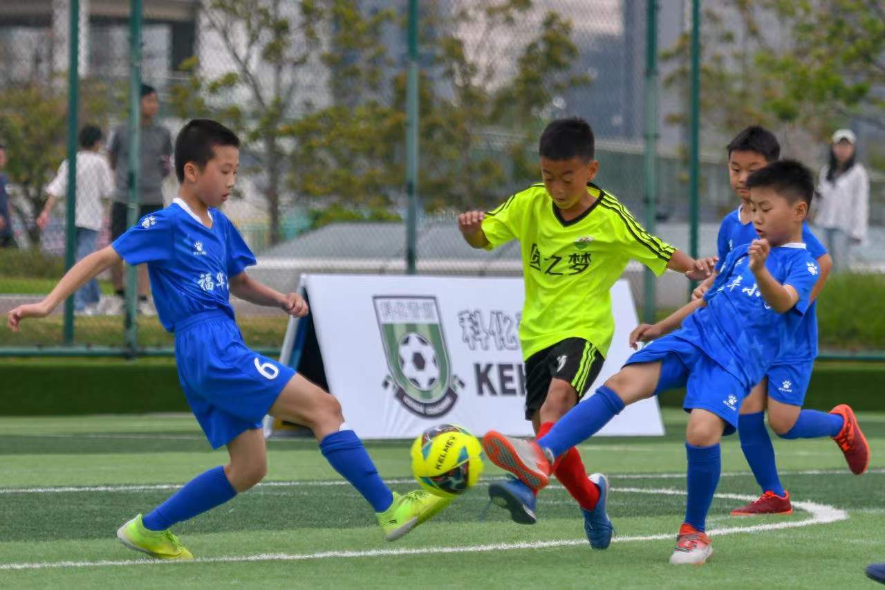 的要求生成 的要求生成