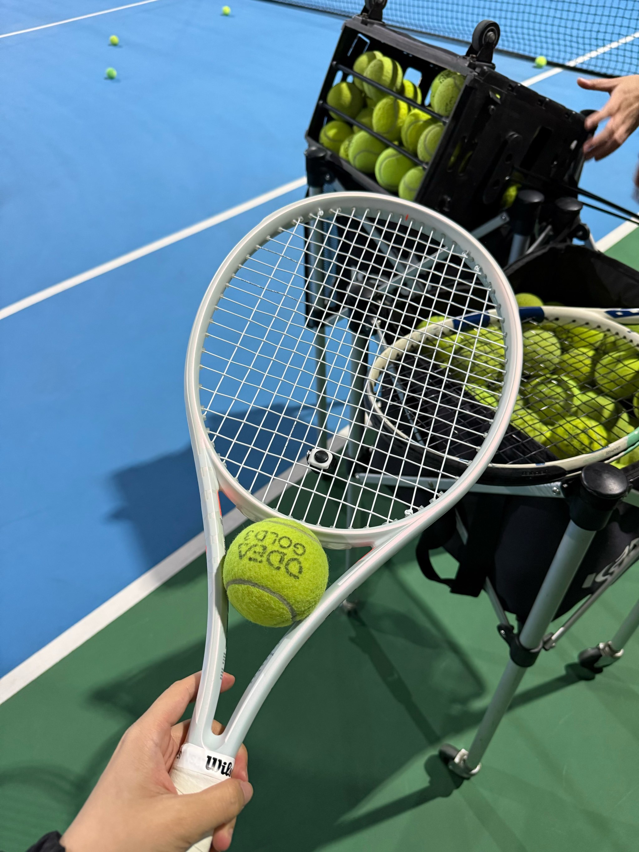 比的得分能 比的得分能