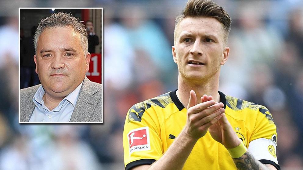 了几条具象 了几条具象